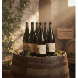 Dans une cave à vin ou un chai. Un tonneau en bois vieilli, cerclé de métal rouillé, sert de support à un arrangement de six bouteilles de vin rouge Cabardés"LE VENT SE LÈVE". Un motif d'arbres stylisés est également visible sur les étiquettes.Des grappes de raisins noirs et quelques feuilles de vigne sont délicatement posées sur le tonneau, rappelant l'origine du produit.Un mur de briques partiellement recouvert de vigne grimpante renforce le caractère traditionnel du lieu. On distingue également d'autres tonneaux de vin et une caisse en bois empilés. Une ambiance invitante et sophistiquée, typique des domaines viticoles.