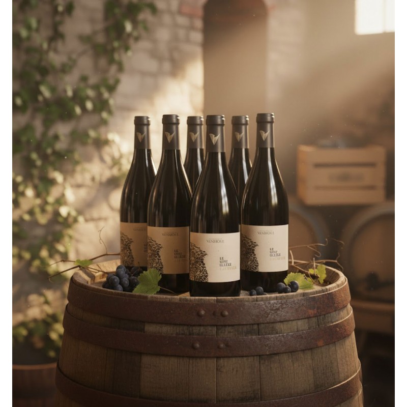 Dans une cave à vin ou un chai. Un tonneau en bois vieilli, cerclé de métal rouillé, sert de support à un arrangement de six bouteilles de vin rouge Cabardés"LE VENT SE LÈVE". Un motif d'arbres stylisés est également visible sur les étiquettes.Des grappes de raisins noirs et quelques feuilles de vigne sont délicatement posées sur le tonneau, rappelant l'origine du produit.Un mur de briques partiellement recouvert de vigne grimpante renforce le caractère traditionnel du lieu. On distingue également d'autres tonneaux de vin et une caisse en bois empilés. Une ambiance invitante et sophistiquée, typique des domaines viticoles.