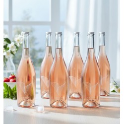 six bouteilles de vin rosé,"Le Rosé de Vendéole", disposées sur une table en bois clair ou un comptoir. Les bouteilles sont en verre transparent, laissant apparaître la couleur rose pâle et lumineuse du vin. Elles sont légèrement givrées ou couvertes de gouttelettes de condensation, suggérant qu'elles sont fraîches et prêtes à être dégustées.Un motif stylisé en forme de "V" ou d'ailes.On aperçoit une fenêtre avec des carreaux, laissant entrer une lumière naturelle douce qui illumine. Un petit bouquet de fleurs blanches dans un vase transparent, et un bol blanc rempli de fraises rouges vives et de feuilles de menthe fraîche. À droite, quelques fleurs blanches délicates sont également visibles.Des glaçons fondent, créant de petites flaques d'eau, ce qui renforce l'idée de fraîcheur et de boisson rafraîchissante.