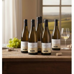 six bouteilles de vin blanc,du Pinot Gris, de la marque Vendéole. Chaque bouteille est de forme classique, en verre teinté foncé (probablement vert ou marron) pour protéger le vin. L'étiquette principale est blanche et met en évidence le nom du cépage, "PINOT GRIS". On peut lire "NOS BELLES RANGÉES" et "Pays d'Oc", indiquant l'origine du vin. Un motif stylisé de collines ou de vignobles, orne la partie inférieure de l'étiquette. Le col de la bouteille est surmonté d'une capsule noire avec un logo stylisé en forme de "V" ou d'oiseau en vol.