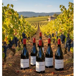 Un magnifique vignoble sous un ciel bleu clair et ensoleillé. Six bouteilles de vin rouge, étiquetées "Les parcelles", Pinot noir sont posées sur la terre labourée entre deux rangées de vignes. Les vignes sont chargées de grappes de raisins noirs mûrs, et leurs feuilles vertes sont éclairées par le soleil. Les rangées de vignes s'étendent à perte de vue, créant un motif linéaire et harmonieux qui mène à une colline lointaine et à une structure en pierre, probablement un bâtiment de domaine viticole. L'ensemble de la scène évoque la richesse de la récolte et la beauté du paysage viticole.