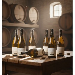 Dans une cave à vin rustique et chaleureuse.Six bouteilles de vin blanc Gewurztraminer sont disposées sur une table en bois robuste. L'une des bouteilles est couchée, avec un peu de vin renversé et quelques bouchons de liège à proximité, suggérant une dégustation récente.Des fûts de chêne sont empilés sur des étagères, et la lumière du jour filtre à travers une petite fenêtre en hauteur, créant une atmosphère intime et authentique.
