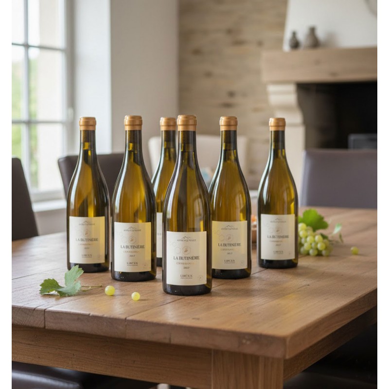 Six bouteilles de vin blanc, visiblement du "La Butinière Chardonnay Fût de Chêne". Les étiquettes mettent en avant le nom du vin et l'appellation (Limoux). Le verre est de couleur vert-brun classique pour les bouteilles de vin blanc.
Les capsules des bouteilles sont de couleur or, ajoutant une touche de raffinement et contrastant avec le verre foncé.
La lumière est douce et naturelle, venant principalement d'une grande fenêtre, créant un bel éclairage sur les bouteilles et le bois de la table.
Une cheminée en pierre de couleur claire.Quelques grains de raisin blanc isolés sont posés sur la table.
Une petite feuille de vigne est disposée près des bouteilles, ainsi qu'une grappe de raisin.