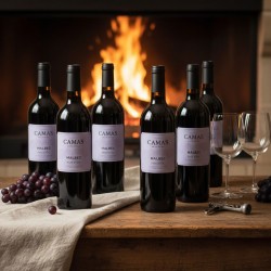 six bouteilles de vin rouge Malbec de la marque 'Camas' posées sur une table en bois rustique. À côté des bouteilles, il y a des grappes de raisin, deux verres à vin vides et un tire-bouchon. En arrière-plan, on voit une cheminée avec un feu ardent, créant une ambiance chaleureuse et accueillante.