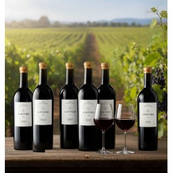 Six bouteilles La Butinière fût de chêne sur table en bois, vignoble en fond