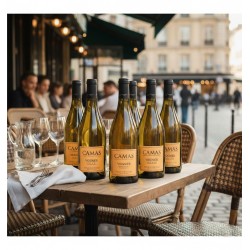 Sur une table de bistrot ou de café en extérieur, six bouteilles de vin blanc "Camas Viognier Anne de Joyeuse" sont sur une table en bois. Les bouteilles, sont étiquetées avec le nom du vin et l'appellation "Viognier". Une carafe d'eau et des verres à vin vides sont disposés, ainsi qu'un set de couverts enveloppé dans une serviette blanche. Le mobilier environnant comprend des chaises en rotin tressé, typiques des terrasses de café parisiennes.On distingue l'ambiance animée d'une rue urbaine avec des passants flous, des bâtiments à l'architecture classique et des lumières tamisées provenant de l'établissement, créant une atmosphère chaleureuse et conviviale.