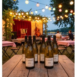 Ambiance d'un restaurant ou d'un événement spécial. Une table en bois rustique est ornée de six bouteilles de vin blanc,"CAMAS CHENIN ANNE DE JOYEUSE". Une petite scène est aménagée avec des rideaux rouges, un accordéon et une contrebasse, suggérant la présence de musique live. Des guirlandes lumineuses aux ampoules colorées traversent la scène, créant une atmosphère chaleureuse et accueillante. On aperçoit également des tables avec des nappes à carreaux rouges et blancs, ainsi que quelques personnes assises au bord de l'eau, ajoutant une touche de convivialité à l'ensemble.