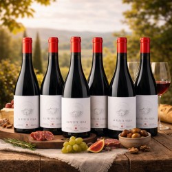 Six bouteilles La Petite Villa vin rouge BIO - Domaine Gayda