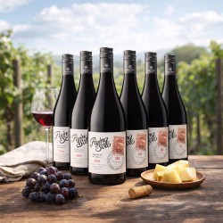 Six bouteilles Flying Solo Grenache – Syrah- Domaine Gayda