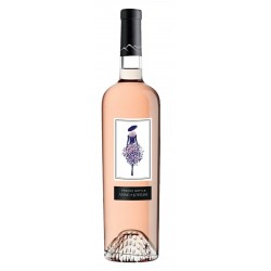 Bouteille de vin rosé French défilé - Anne de joyeuse.