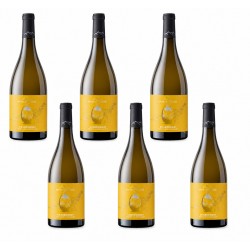 Carton de 6 bouteilles Chardonnay Ampelosaurus fût de chêne - Anne de Joyeuse