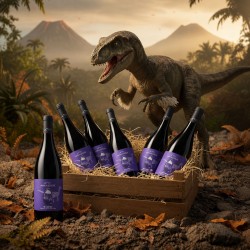 Caisse de vin rouge Terroir des Dinosaures Malbec Variraptor, illustration d'un paysage préhistorique avec dinosaure et volcan