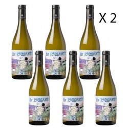 Domaine Gayda En passant blanc Vin Occitanie - Lot de 12 bouteilles