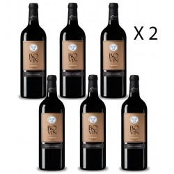 12 Bouteilles de vin rouge BOVIN- AOP Limoux - Anne de Joyeuse Lot de 12 bouteilles en promotion.