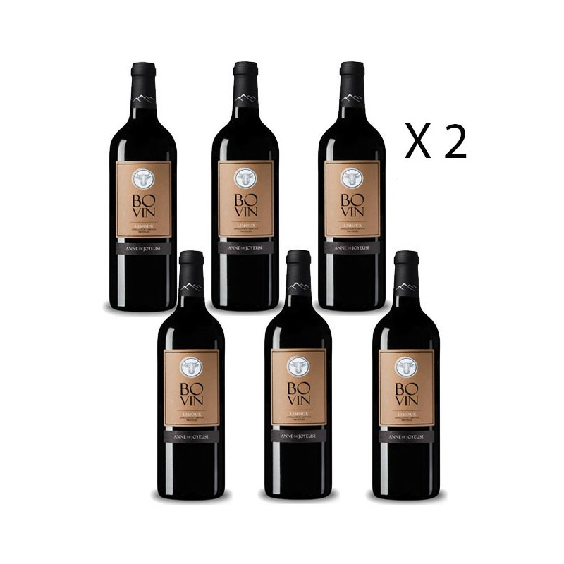 BOVIN Vin rouge AOP Limoux 2017 - Anne de Joyeuse Lot de 12 bouteilles