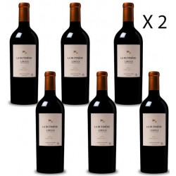 la Butinière Vin rouge 2019 - Fût de chêne Anne de joyeuse Vin Occitanie Lot de 12 bouteilles