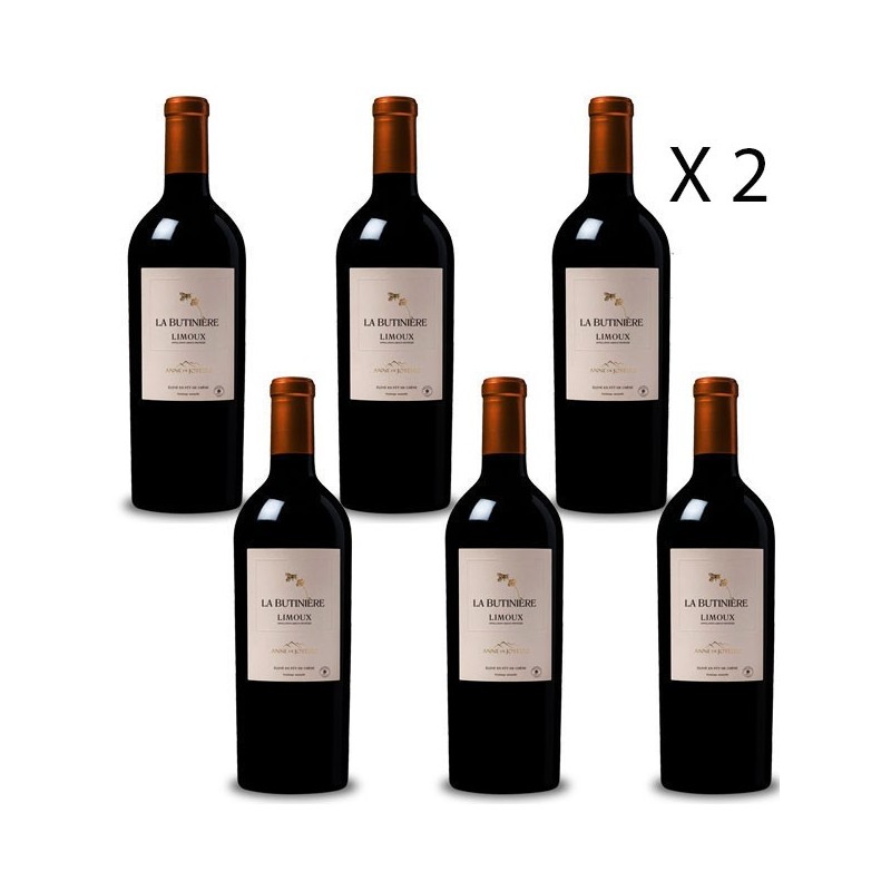 la Butinière Vin rouge 2019 - Fût de chêne Anne de joyeuse Vin Occitanie Lot de 12 bouteilles