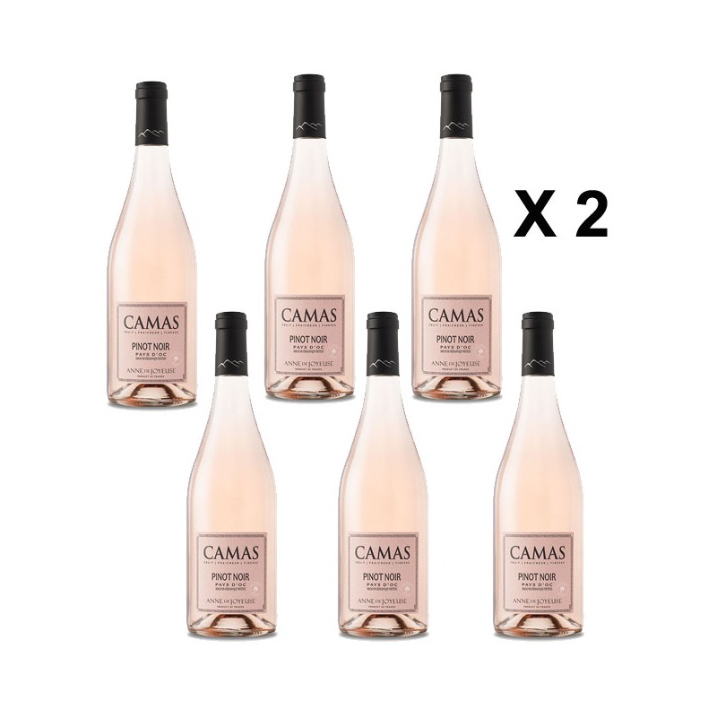 Promotion Camas Pinot Noir rosé  - Lot de 12 Bouteilles Vin Occitanie