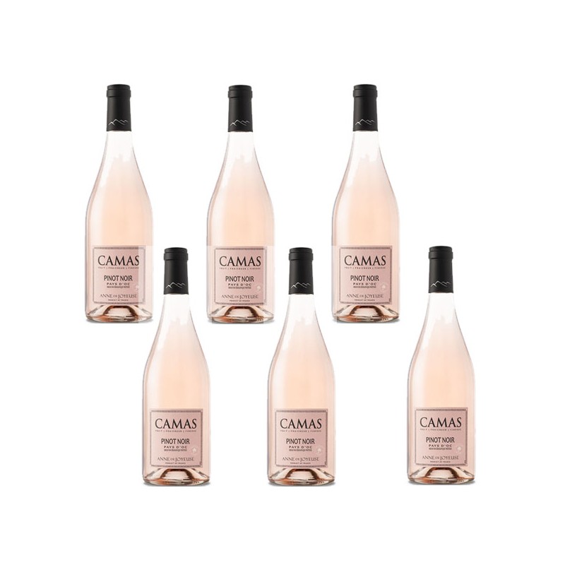 Bouteille de vin rosé Camas Pinot Vin Occitanie. Bouteille de vin rosé Camas Pinot Vin Occitanie.