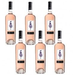 Six bouteilles de vin rosé French défilé - Anne de joyeuse.