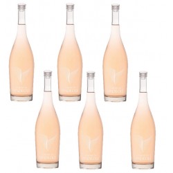 Six bouteilles de vin rosé Le Rosé de Vendéole - Vin Occitanie.