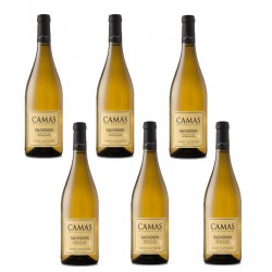 Six bouteilles de vin blanc Camas sauvignon - Vin Occitanie.