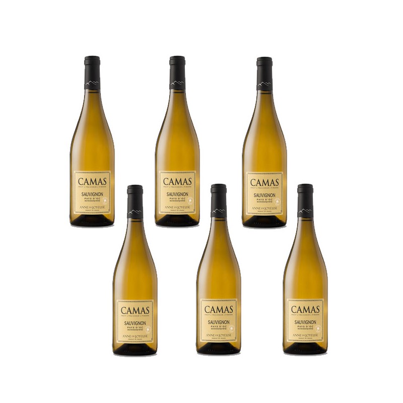 Bouteille de vin blanc Camas sauvignon - Vin Occitanie. Bouteille de vin blanc Camas sauvignon - Vin Occitanie.