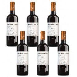 Carton de 6 bouteilles Les Deux Vents Bio, vin rouge AOP Malepère Vendéole