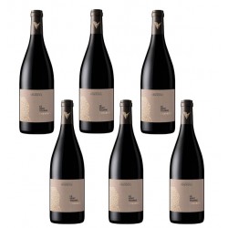Carton de 6 bouteilles Le Vent Tourne, vin rouge AOP Cabardès Vendéole