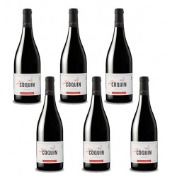 Bouteille de vin rouge Le Coquin rouge - Anne de Joyeuse.