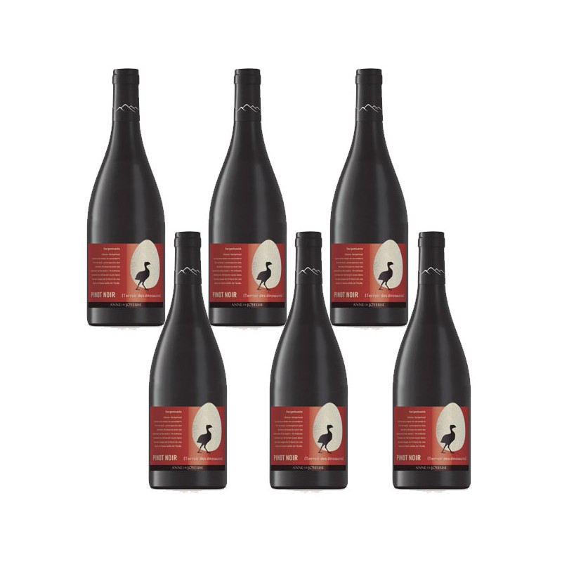 Bouteille de vin rouge Dinosaure Pinot Noir Anne de Joyeuse Bouteille de vin rouge Dinosaure Pinot Noir Anne de Joyeuse