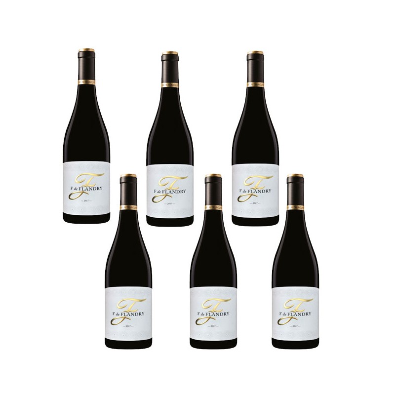 Bouteille de vin rouge F de Flandry vin rouge Sieur d'Arques