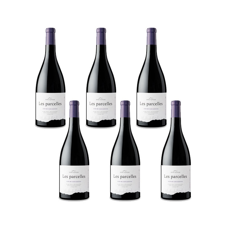 Bouteille de vin Les Parcelles Syrah Grenache Anne de Joyeuse Bouteille de vin Les Parcelles Syrah Grenache Anne de Joyeuse