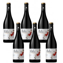 Six bouteilles de vin rouge Bio LILI de Limoux - Sieur d'Arques