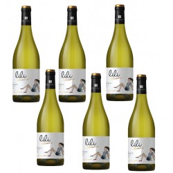 Six bouteilles chardonnay bio sieur d arques
