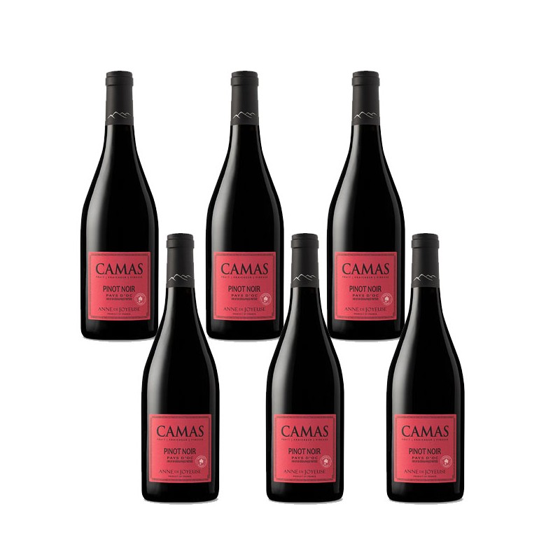 Bouteille camas vin rouge pinot noir anne de joyeuse
