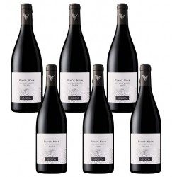 Carton de 6 bouteilles Pinot Noir rouge Vendéole - vin IGP Pays d'Oc