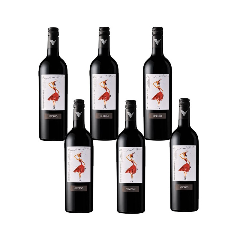 Bouteille les filles dans le vent merlot vendéole Bouteille les filles dans le vent merlot vendéole