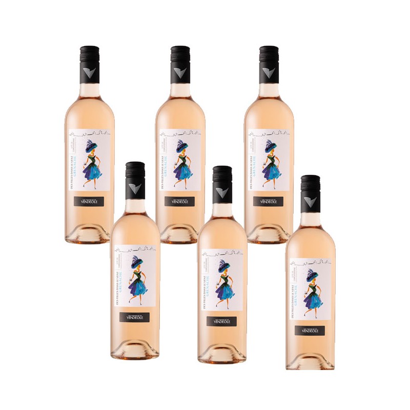 bouteille vin rose les filles dans le vent vendéole bouteille vin rose les filles dans le vent vendéole