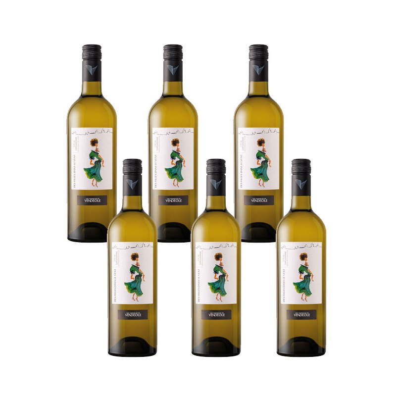 bouteille les filles dans le vent sauvignon vendeole bouteille les filles dans le vent sauvignon vendeole