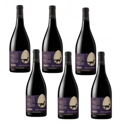 Six bouteilles rouge terroir des dinosaures Malbec Anne de joyeuse.
