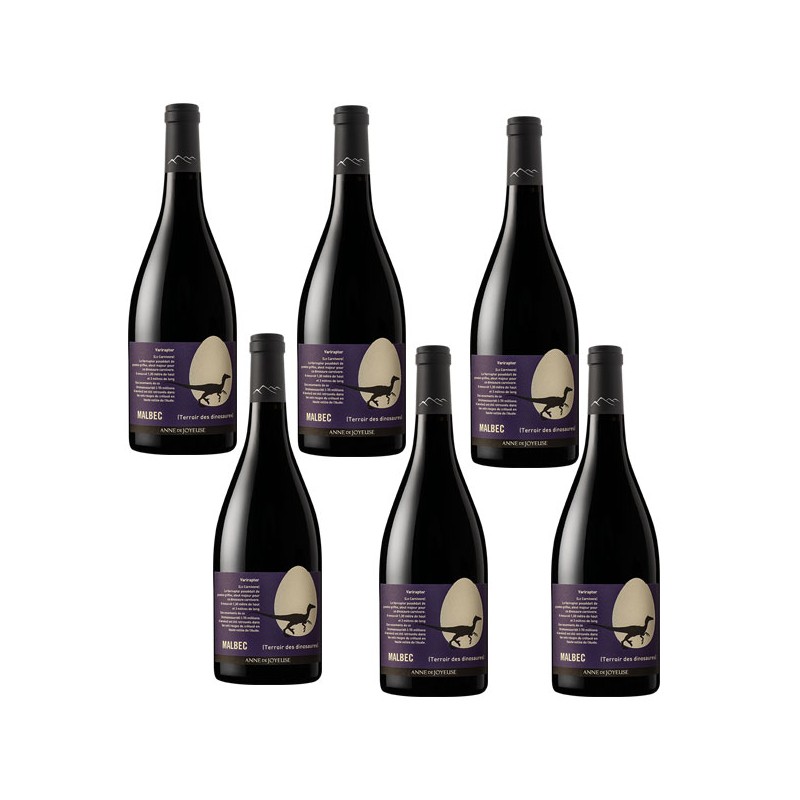 bouteille rouge terroir des dinosaures malbec anne de joyeuse