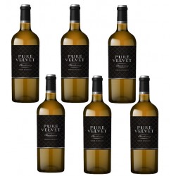 Six bouteilles pure Velvet chardonnay sieur d'arques.