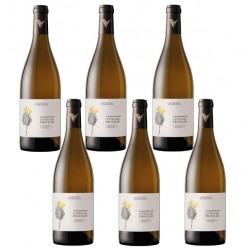 Carton de 6 bouteilles Chardonnay Côte de Prouilhe, vin blanc Vendéole