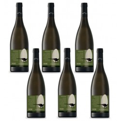 Six bouteilles mauzac vin blanc  Anne de joyeuse.