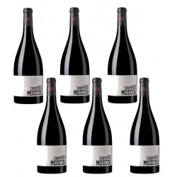 Six bouteilles de vin rouge en fût de chêne Domaine Gayda