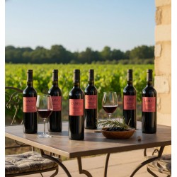 six bouteilles de vin rouge de la marque Camas Merlot, posées sur une table d'extérieur. Deux verres à vin sont également présents, l'un contenant du vin rouge et l'autre vide. Un petit bol en bois rempli d'olives et d'une branche de romarin est visible sur la table. En arrière-plan, un vignoble s'étend sous un ciel clair et ensoleillé.