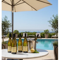 Sur une table ronde en marbre blanc,six bouteilles sauvignon"CAMAS". Une bouteille est en train de refroidir dans un seau à glace en métal. À côté, un demi-citron et quelques feuilles de menthe.Sous un grand parasol de couleur claire. on aperçoit une piscine d'un bleu, bordée de chaises longues et de végétation verdoyante, avec une vue sur la mer et un lac.