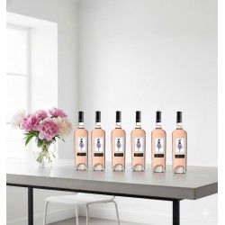 Six bouteilles de vin rosé French alignée sur une table moderne en béton. À gauche, un vase transparent rempli d'un bouquet luxuriant de pivoines roses et blanches apporte une touche de fraîcheur et d'élégance. L'arrière-plan est un mur blanc immaculé avec une grande fenêtre lumineuse, créant une ambiance épurée et contemporaine.