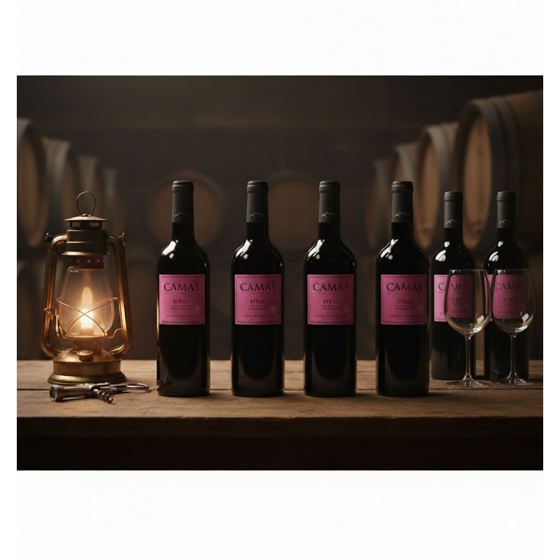 Une ambiance chaleureuse et rustique, typique d'une cave à vin. Une table en bois massif expose six bouteilles de vin rouge "Camas Syrah". Une lanterne à l'ancienne éclaire la scène. Un tire-bouchon suggérant une dégustation imminente. Des fûts de chêne sont alignés, ajoutant à l'authenticité du lieu et évoquant le vieillissement du vin,soulignant la couleur profonde du vin.Anne de Joyeuse.